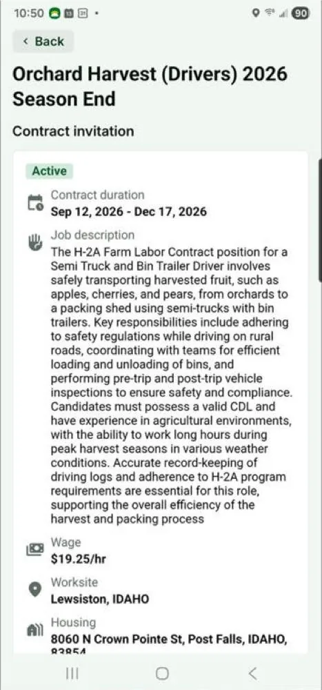 Mi Chamba contract details on the worker’s phone